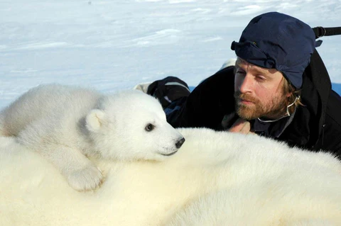 Wie viele Eisbären gibt es in Svalbard?