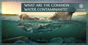 Was sind die häufigsten Wasserverunreinigungen?