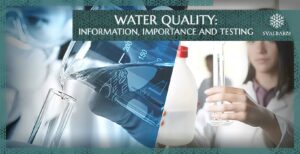 Wasserqualität: Informationen, Bedeutung und Tests