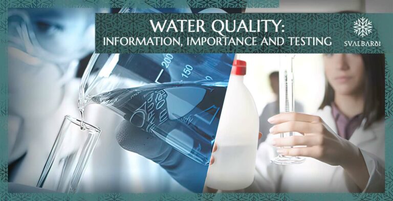 Wasserqualität: Informationen, Bedeutung und Tests