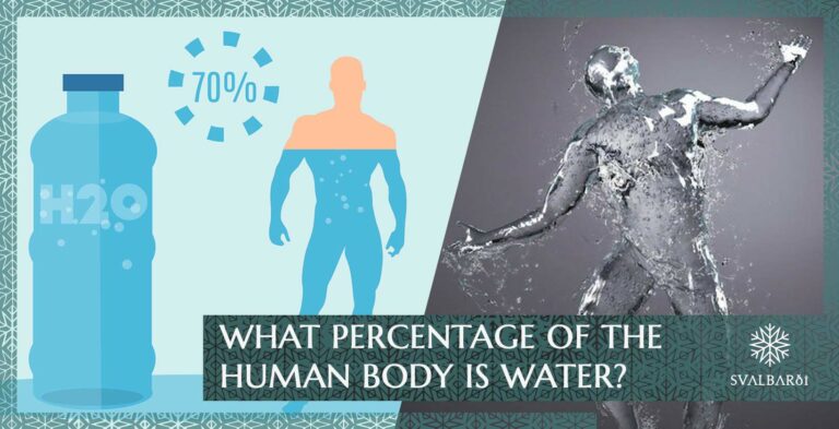Wie viel Prozent des menschlichen Körpers besteht aus Wasser?